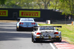 #888 Triple Eight Racing BMW Z4: Joe Osborne, Lee Mowle