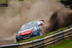 Дави Жанне, Peugeot 208