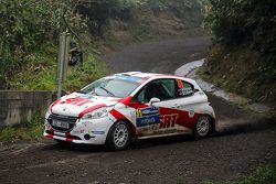 Василий Грязин и Дмитрий Лебедик, Peugeot 208 R2