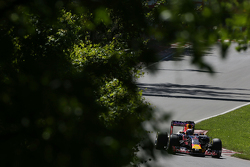 Daniel Ricciardo, Red Bull Racing RB11