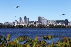 Vista di  Montreal