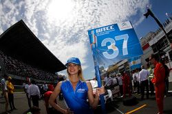 Grid Girls