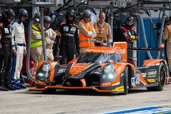 #28 G-Drive Racing Ligier JS P2: Ricardo Gonzalez, Pipo Derani, Gustavo Yacaman