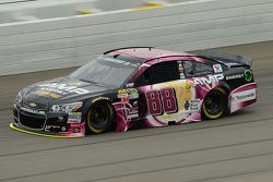 Dale Earnhardt Jr., Hendrick Motorsports Chevrolet