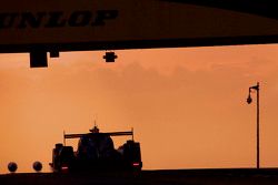 #31 Extreme Speed Motorsports Ligier JS P2: Эд Браун, Джон Фогарти, Йоханнес ван Овербек