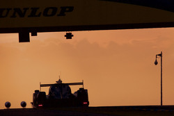 #31 Extreme Speed Motorsports Ligier JS P2: Эд Браун, Джон Фогарти, Йоханнес ван Овербек