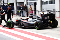 Стоффель Вандорн, McLaren MP4-29H