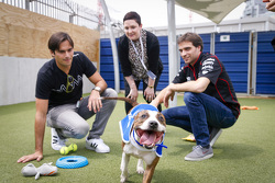Jérôme d'Ambrosio, Dragon Racing e Nelson Piquet Jr., China Racing visita la Battersea Dogs Home