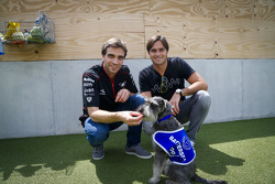 Jérôme d'Ambrosio, Dragon Racing e Nelson Piquet Jr., China Racing visita la Battersea Dogs Home