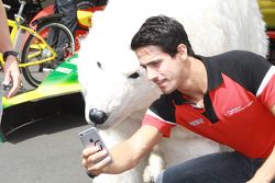 Lucas di Grassi, Audi Sport Abt prend un selfie avec l'ours polaire
