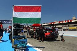 Norbert Michelisz, Honda Civic WTCC, Zengo Motorsport