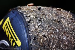 Le gomme Pirelli di Daniel Ricciardo, Red Bull Racing coperte di terra e ghiaia