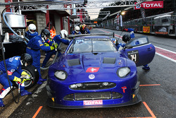 #14 Emil Frey Racing Jaguar: Lorenz Frey, Gabriele Gardel, Fredy Barth