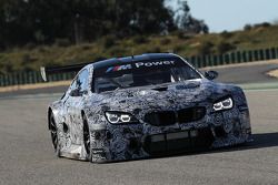 The new BMW M6 GT3