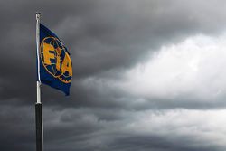 FIA flag