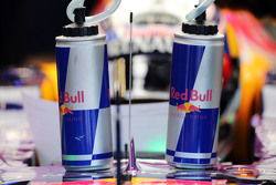 Daniel Ricciardo, Red Bull Racing RB11