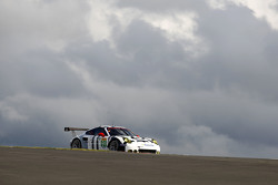 #91 Porsche Team Manthey Porsche 911 RSR: Richard Lietz, Michael Christensen