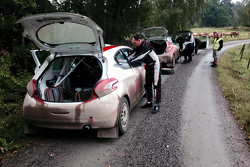 Николай Грязин, Peugeot 208 R2