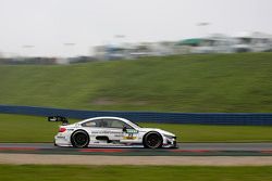 Martin Tomczyk, BMW Team Schnitzer BMW M4 DTM