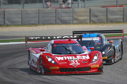 #31 Action Express Racing Corvette DP: Eric Curran, Dane Cameron