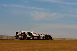 #42 Strakka Racing Gibson 015S: Nick Leventis, Jonny Kane, Danny Watts