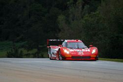 #31 Action Express Racing Corvette DP: Eric Curran, Dane Cameron, Max Papis