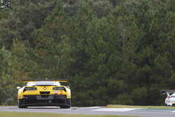 #3 Corvette Racing Chevrolet Corvette C7.R: Jan Magnussen, Antonio Garcia, Ryan Briscoe