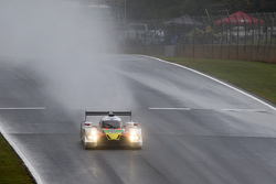 #60 Michael Shank Racing with Curb/Agajanian Ligier JS P2 Honda: John Pew, Oswaldo Negri, Matt McMurry