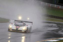 #5 Action Express Racing Corvette DP: Joao Barbosa, Christian Fittipaldi, Sebastien Bourdais