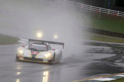 #5 Action Express Racing Corvette DP: Joao Barbosa, Christian Fittipaldi, Sebastien Bourdais