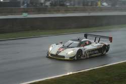 #5 Action Express Racing Corvette DP: Joao Barbosa, Christian Fittipaldi, Sebastien Bourdais