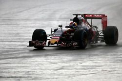 Max Verstappen, Scuderia Toro Rosso