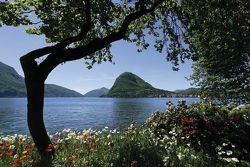 Gli scatti migliori di Lugano