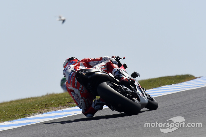 Phillip Island 2015 - Andrea Dovizioso (Ducati)