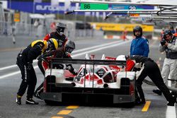 #38 Jota Sport Gibson 015S-Nissan: Simon Dolan, Filipe Albuquerque, Harry Tincknell