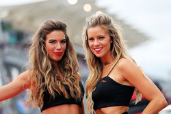 Grid girls