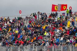 Fans in the grandstand