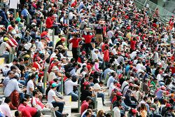 Fans in the grandstand