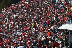 Fans in the grandstand