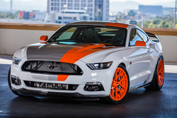 Bojix Mustang