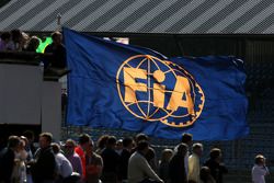 FIA flag