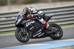 Tom Sykes, Kawasaki Ninja ZX-10R