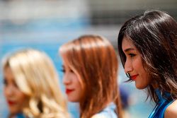 De charmantes Grid Girls