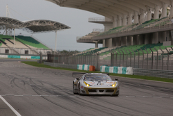 #38 Spirit of Race Ferrari 458 GT3: Nasrat Muzayyin, Rui Aguas