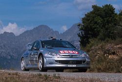 Gilles Panizzi et Hervé Panizzi, Peugeot Sport Peugeot 206 WRC