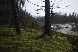 Lorenzo Bertelli e Giovanni Bernacchini, Ford Fiesta WRC