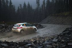 Fabio Andolfi and Simone Scattolin, Peugeot 208 R2