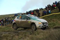 Fabio Andolfi e Simone Scattolin, Peugeot 208 R2