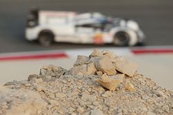 #17 Porsche Team Porsche 919 Hybrid: Timo Bernhard, Mark Webber, Brendon Hartley