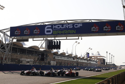 Esteban Ocon, ART Grand Prix, Marvin Kirchhofer, ART Grand Prix Emil Bernstorff, Arden International et Antonio Fuoco, Carlin